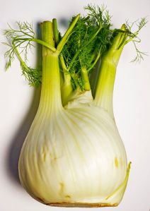 fennel-bulb