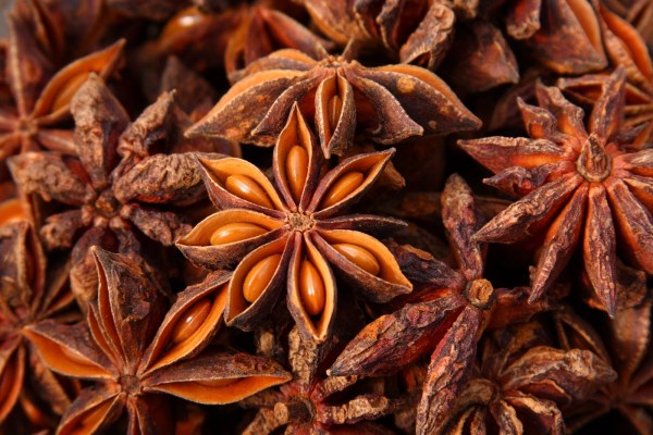 star-anise_1