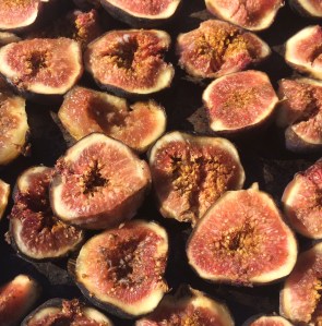 Fresh Mission figs cut ready for drying in the solar oven