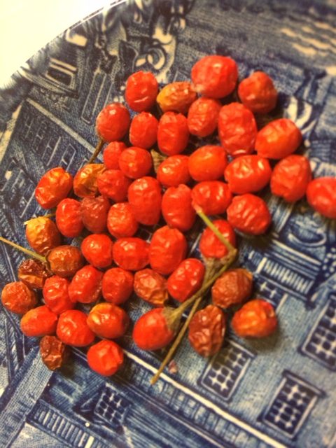 Dried chiltepines for the relish--They make a great snack, great flavoring for Tom's Mix SW Heirloom Beans, and super in any salsa
