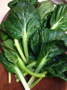 Fresh Chard (acelgas) from a refugee friend's garden--a great substitute for spinach in a pizza!