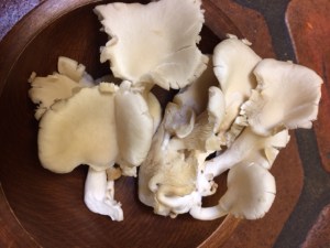 Luscious oyster mushrooms from Maggie's Farm (Rillito Farmers Market) to cut in strips for pizza