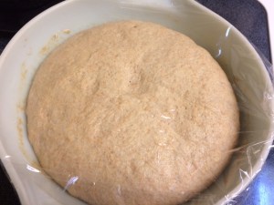 Risen pizza dough after a couple of hours--note the rich whole grain flour of local BKWFarms hard red wheat