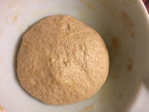 Starting the dough sponge--with local, organic hard red wheat flour--ready to rise