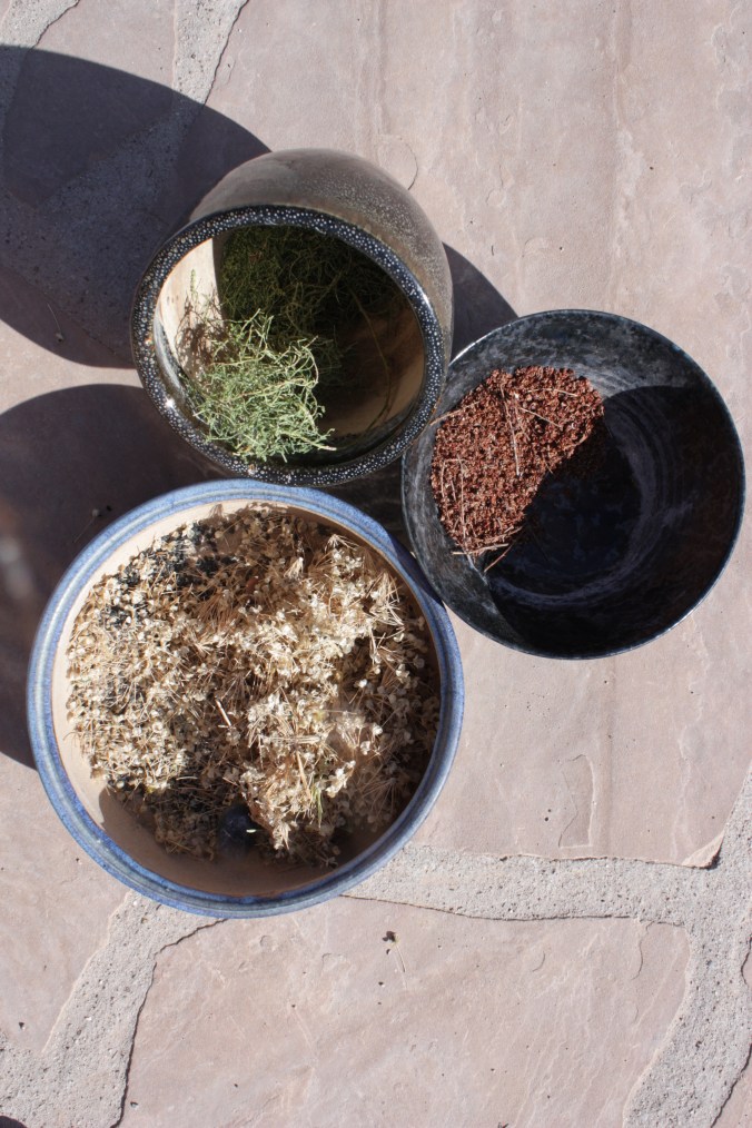 04 seed harvesting 1508572 (c) JASoule one time use only to CSP