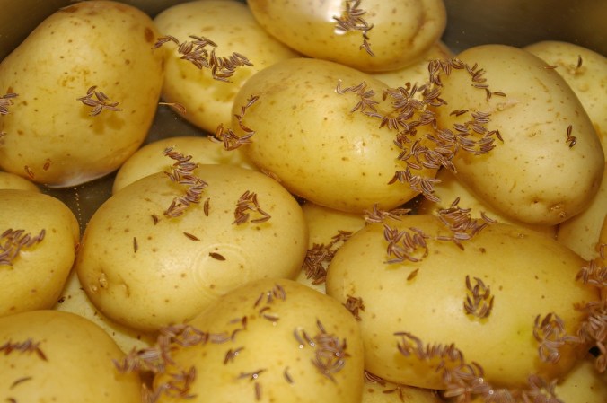 potatoes with caraway pixa 1638520_1280