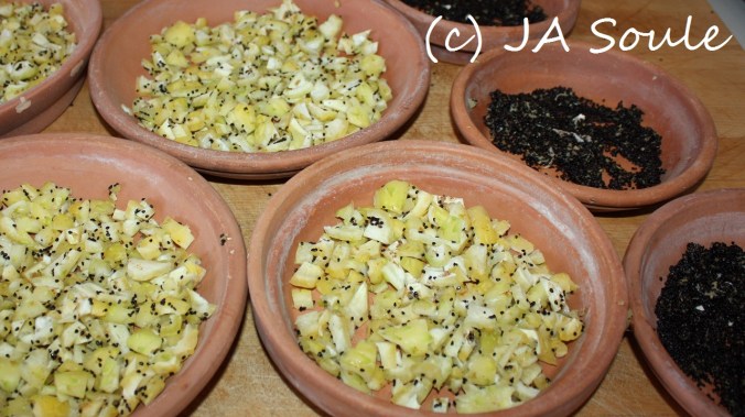 ferocactus fruit 3079 web