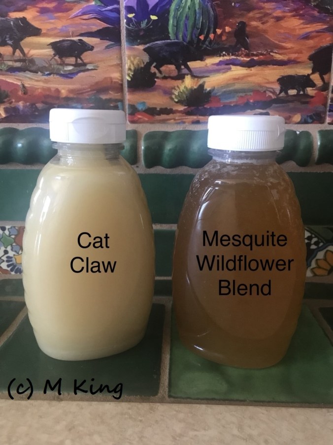 honey Monica King 001