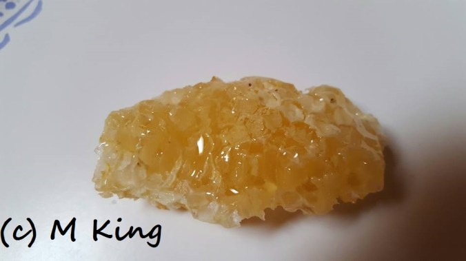 honey monica king 005