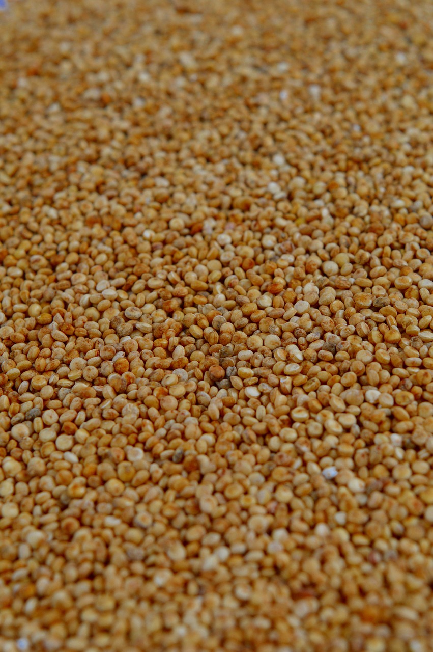 quinoa 1243592_1280