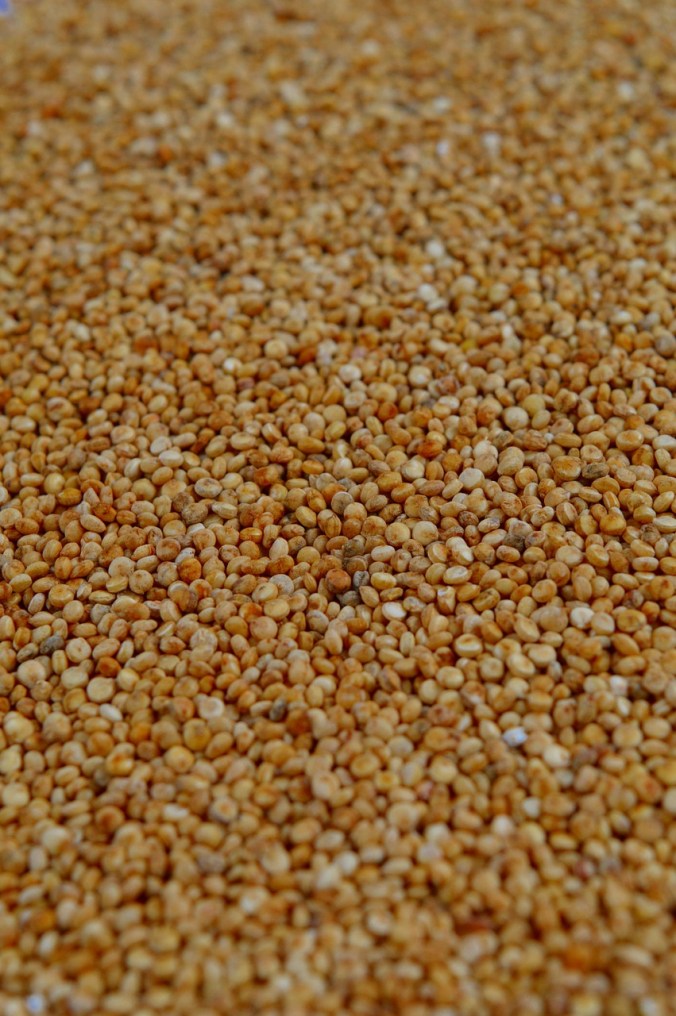 quinoa 1243592_1280
