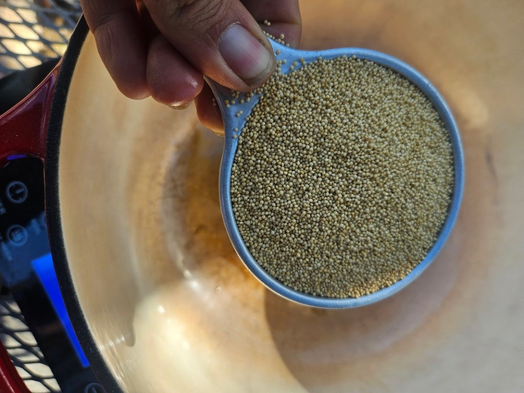 Savor the Southwest: | Forage, Raise, Cook