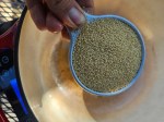 Savor the Southwest: | Forage, Raise, Cook