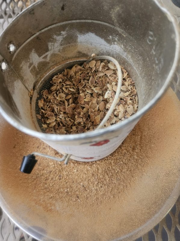 Savor the Southwest: | Forage, Raise, Cook