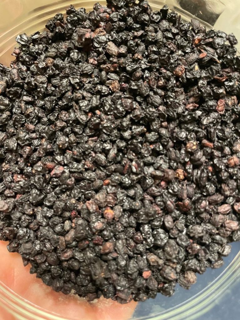 Savor the Southwest: | Forage, Raise, Cook